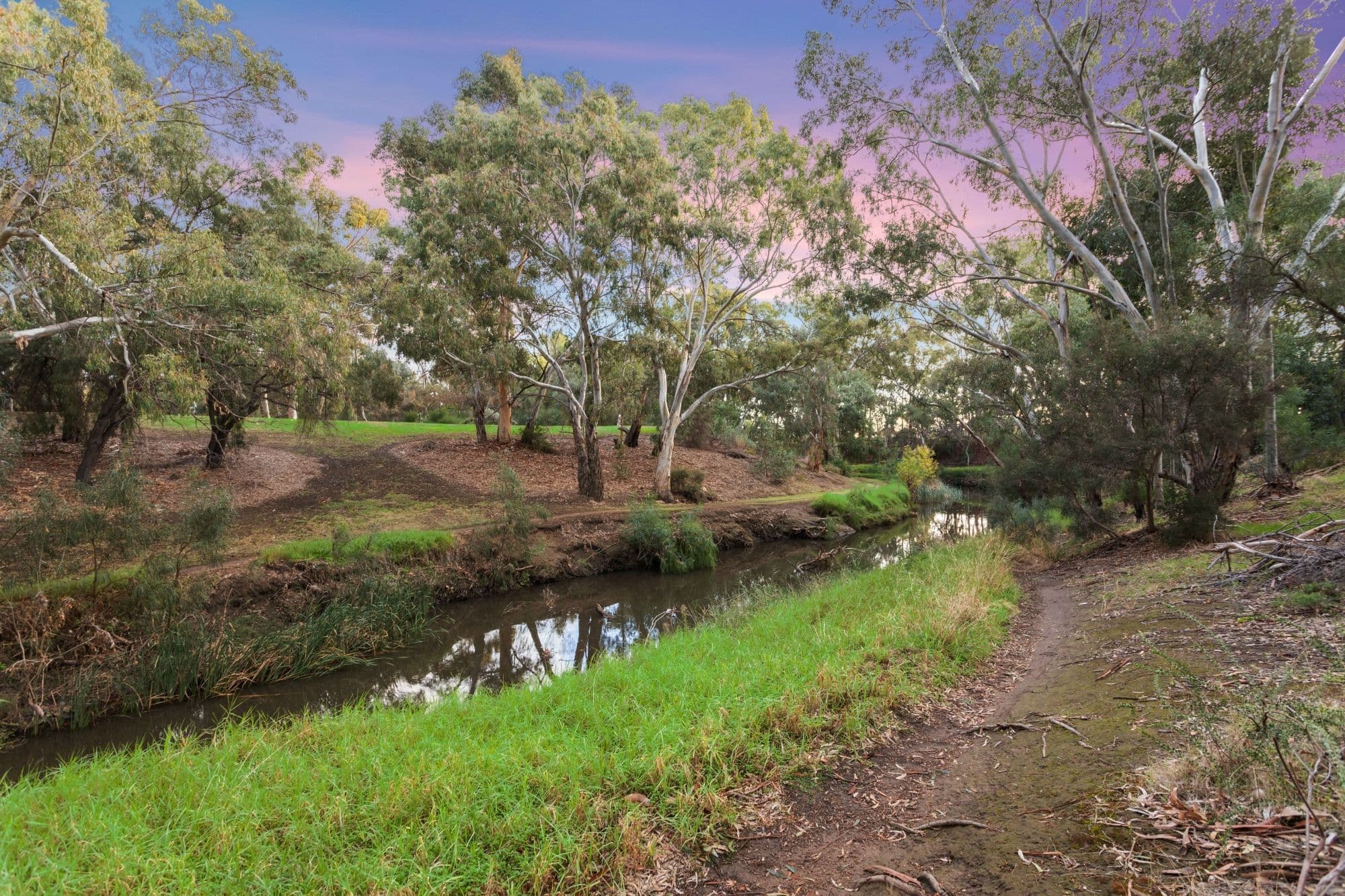 3 Raleigh Avenue, Flinders Park SA 5025, Flinders Park - Thumbnail 3