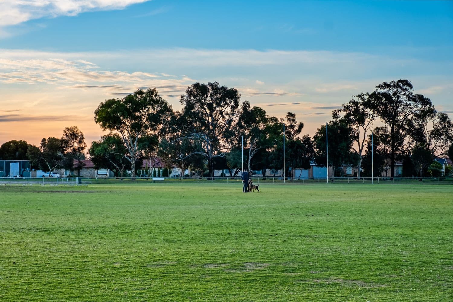 3 Raleigh Avenue, Flinders Park SA 5025, Flinders Park - Thumbnail 4