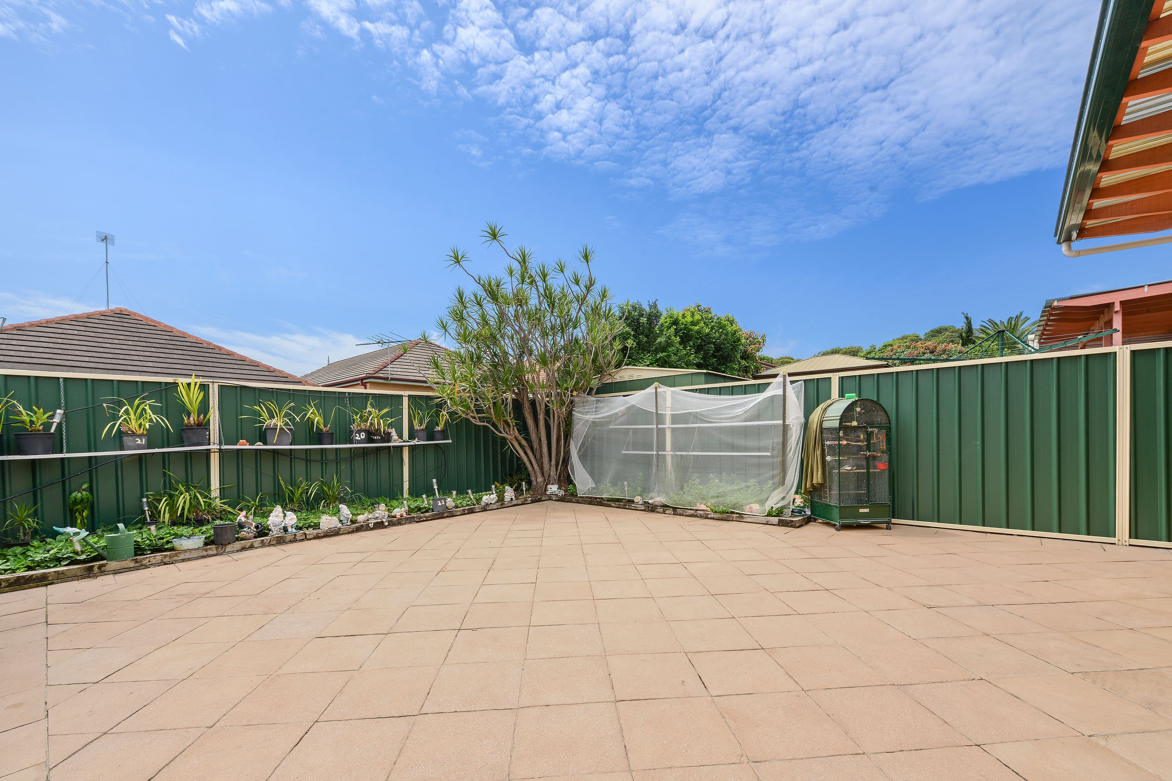 20 Bayview Street, Bexley NSW 2207, Bexley - Thumbnail 8