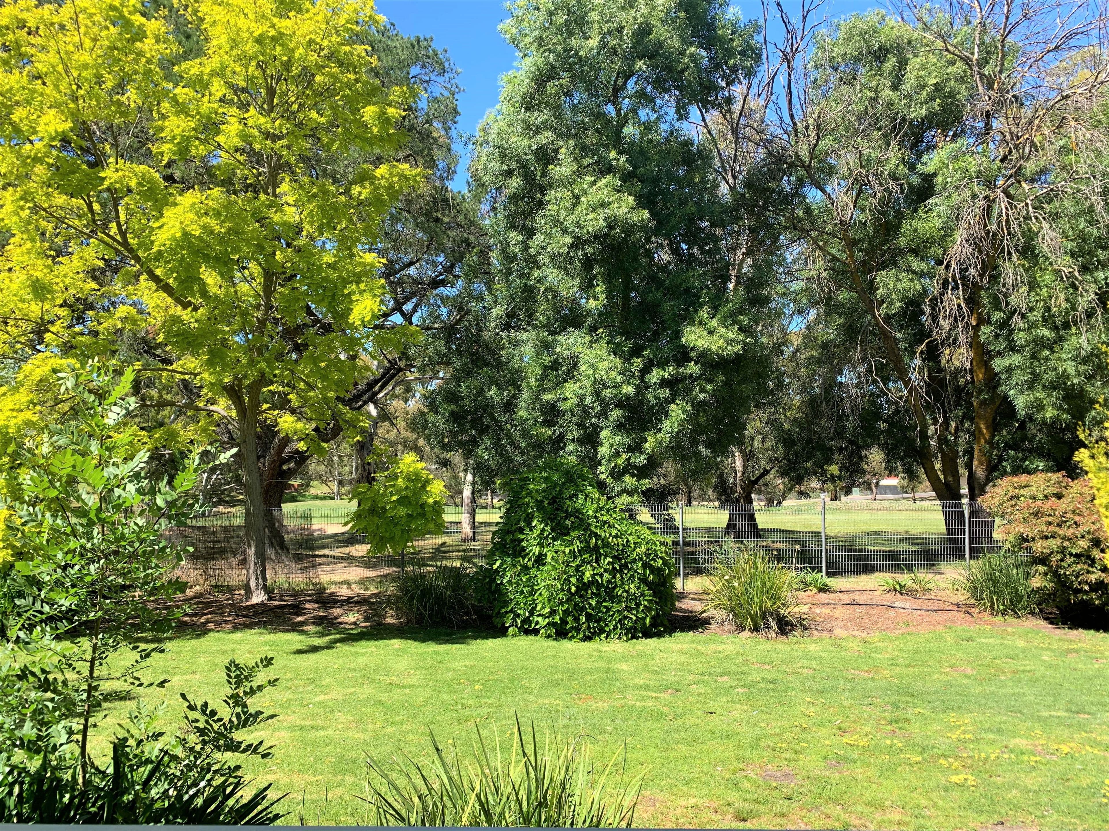 60 Fairlie Drive, Flagstaff Hill SA 5159, Flagstaff Hill - Thumbnail 7