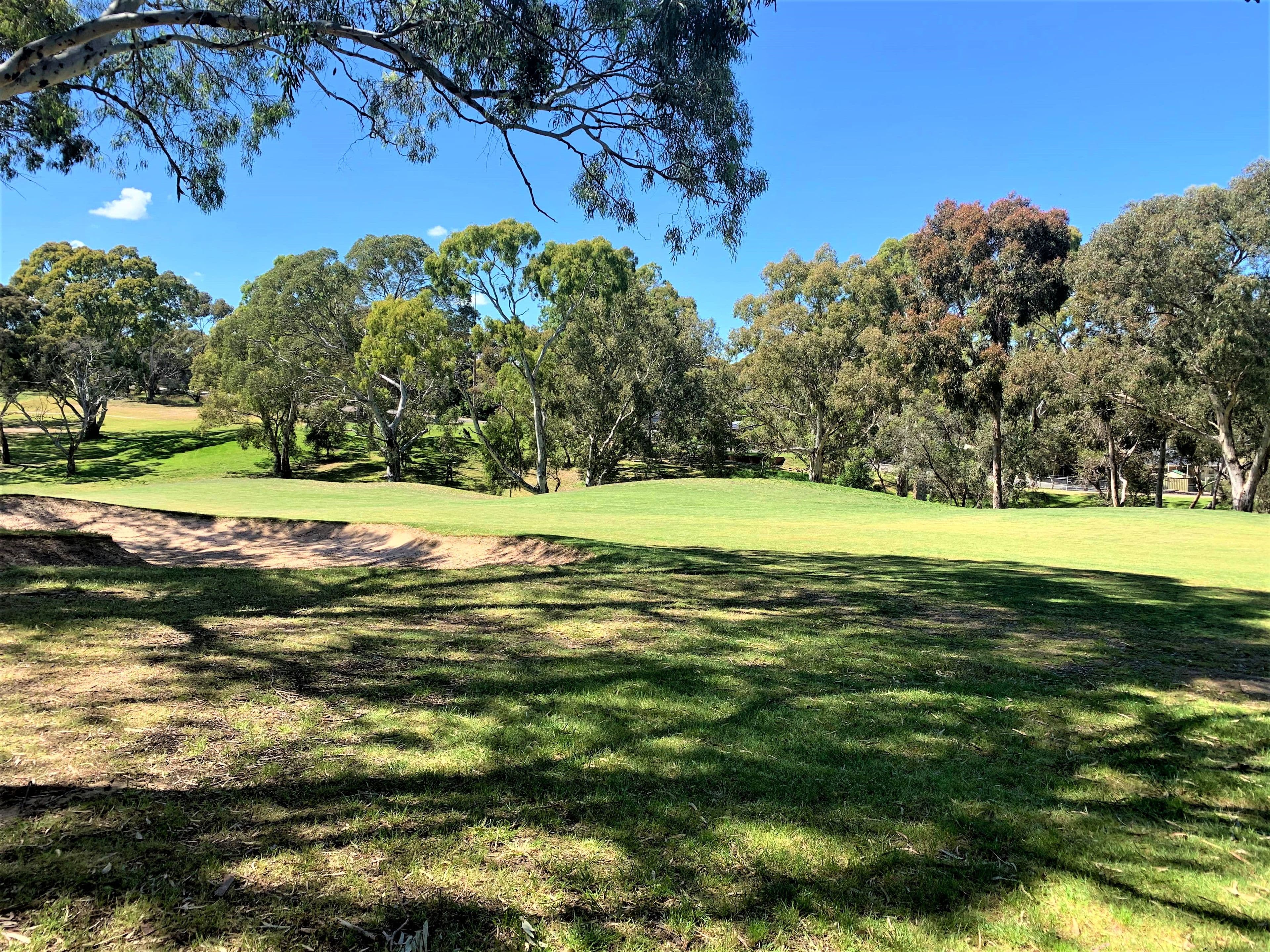 60 Fairlie Drive, Flagstaff Hill SA 5159, Flagstaff Hill - Thumbnail 8