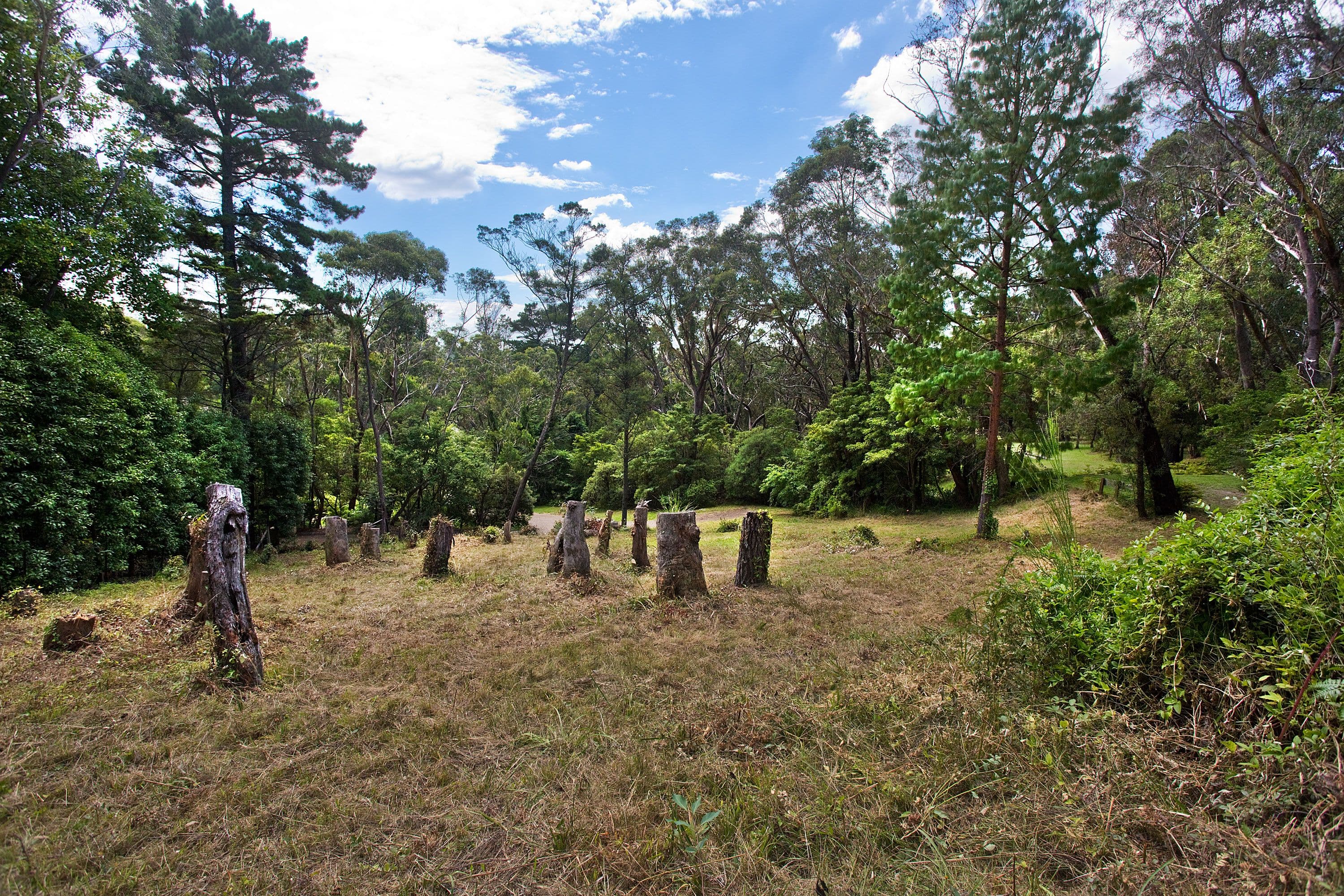 45 Fitzroy Street, Leura NSW 2780, Leura - Thumbnail 2