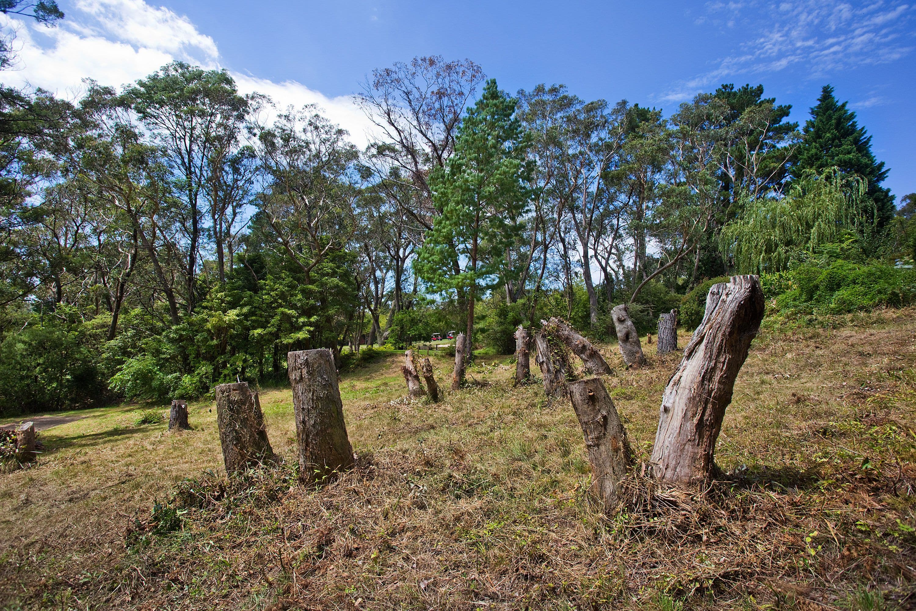 45 Fitzroy Street, Leura NSW 2780, Leura - Thumbnail 3