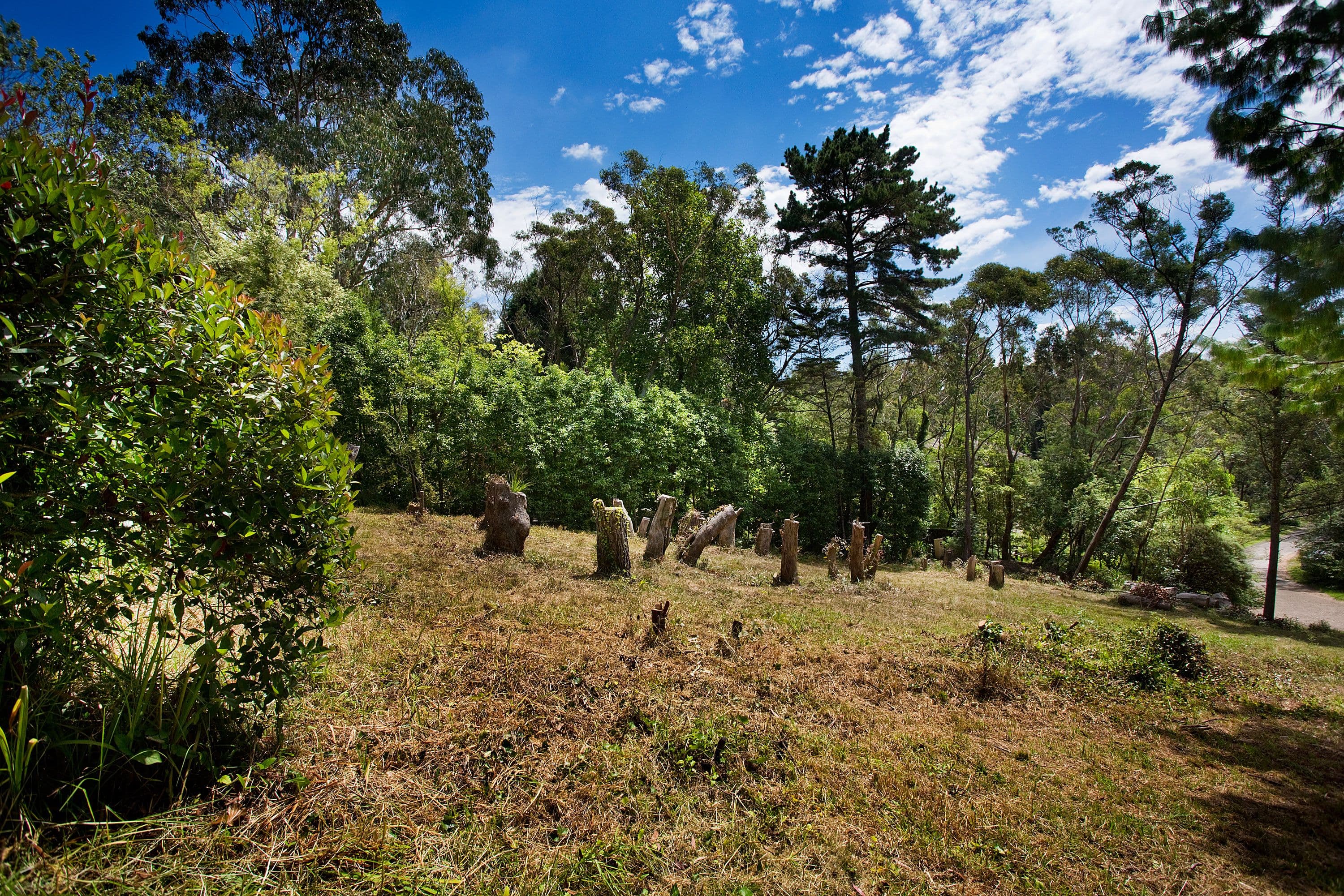45 Fitzroy Street, Leura NSW 2780, Leura - Thumbnail 6