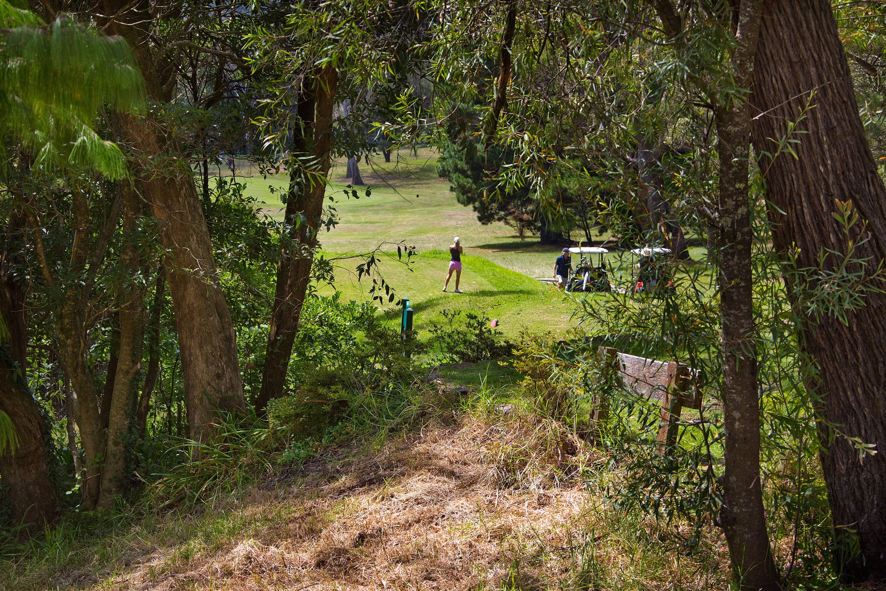 45 Fitzroy Street, Leura NSW 2780, Leura - Thumbnail 8