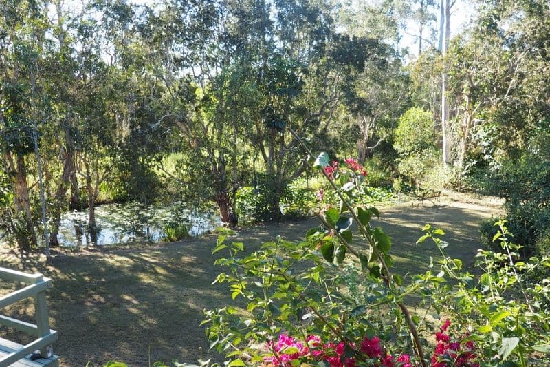 205 Petersen Road, Owanyilla QLD 4650, Owanyilla - Thumbnail 4