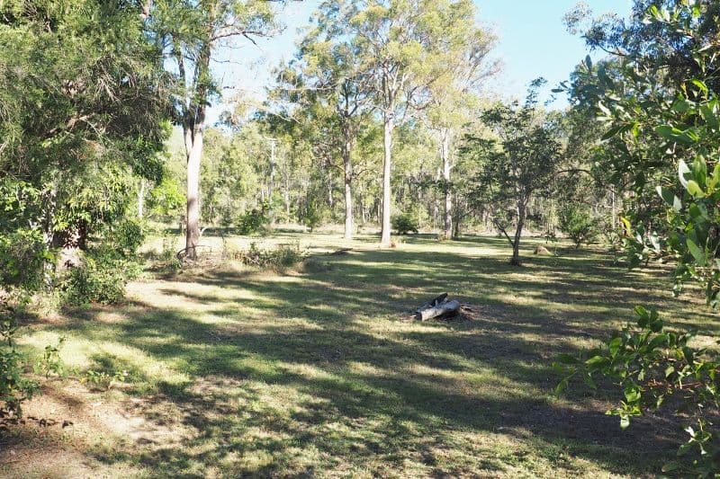 205 Petersen Road, Owanyilla QLD 4650, Owanyilla - Thumbnail 6