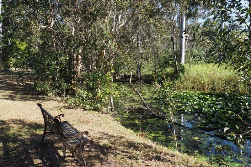 205 Petersen Road, Owanyilla QLD 4650, Owanyilla - Thumbnail 7