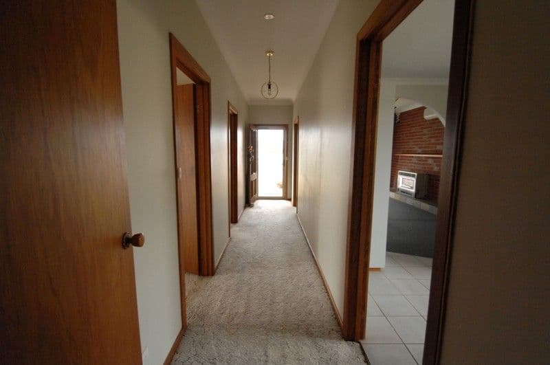 387 Kotthoff Street, LAVINGTON NSW 2641, Lavington - Thumbnail 4