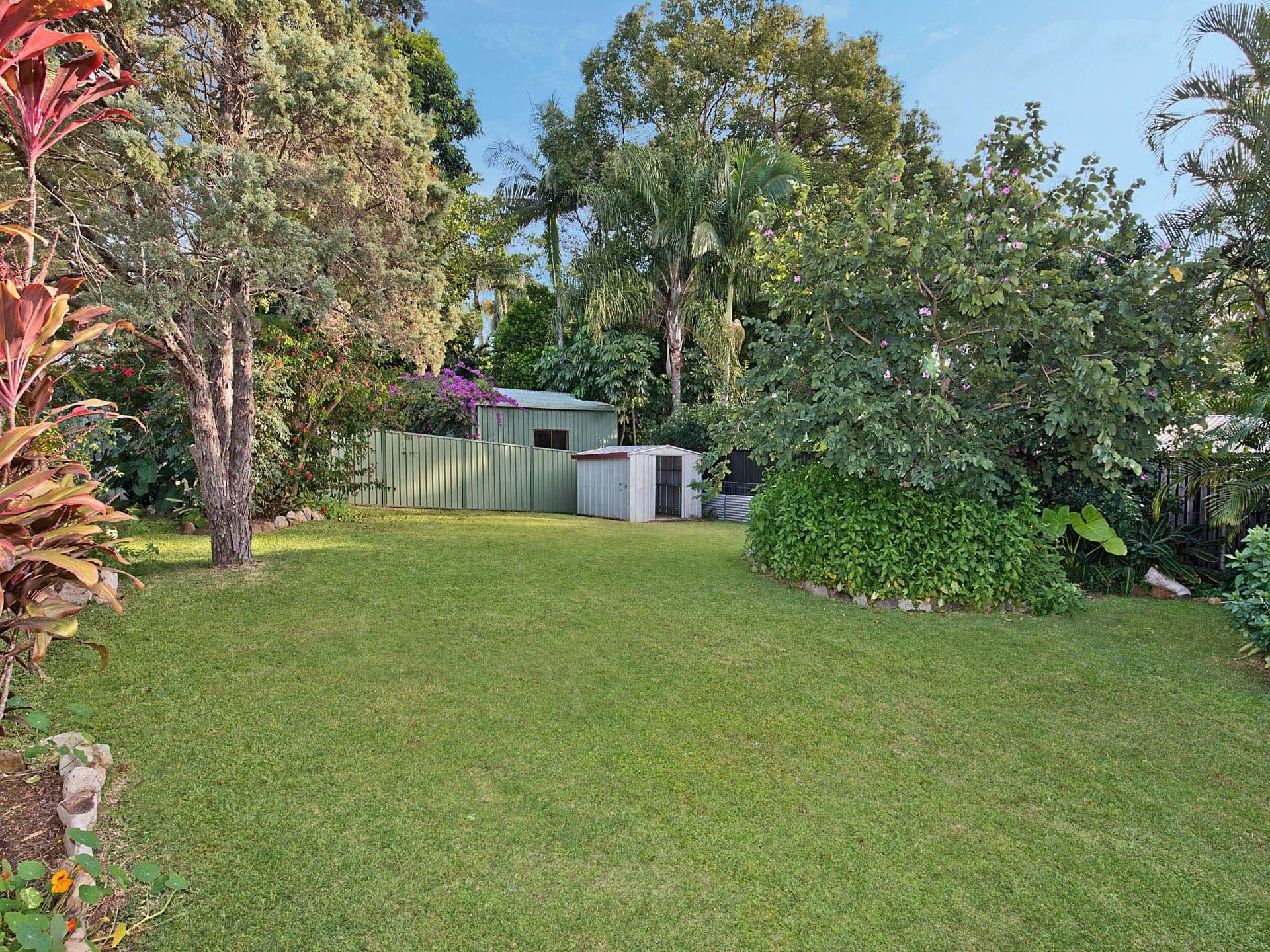 15 Farnwyn Court, Buderim QLD 4556, Buderim - Thumbnail 6