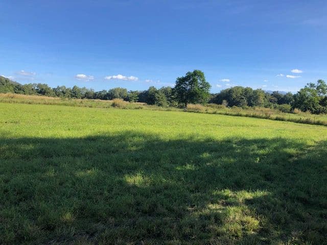 0 Pine Creek - Yarrabah Road, East Trinity QLD 4871, East Trinity - Thumbnail 2