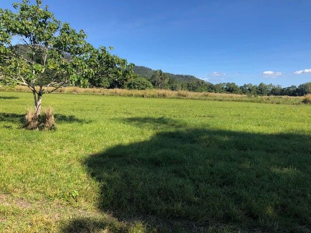 0 Pine Creek - Yarrabah Road, East Trinity QLD 4871, East Trinity - Thumbnail 3