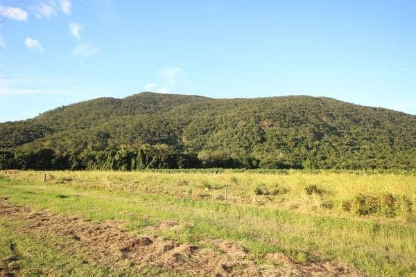0 Pine Creek - Yarrabah Road, East Trinity QLD 4871, East Trinity - Thumbnail 6