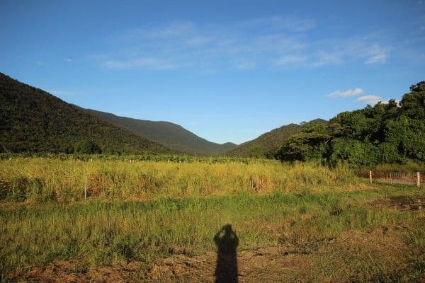 0 Pine Creek - Yarrabah Road, East Trinity QLD 4871, East Trinity - Thumbnail 7