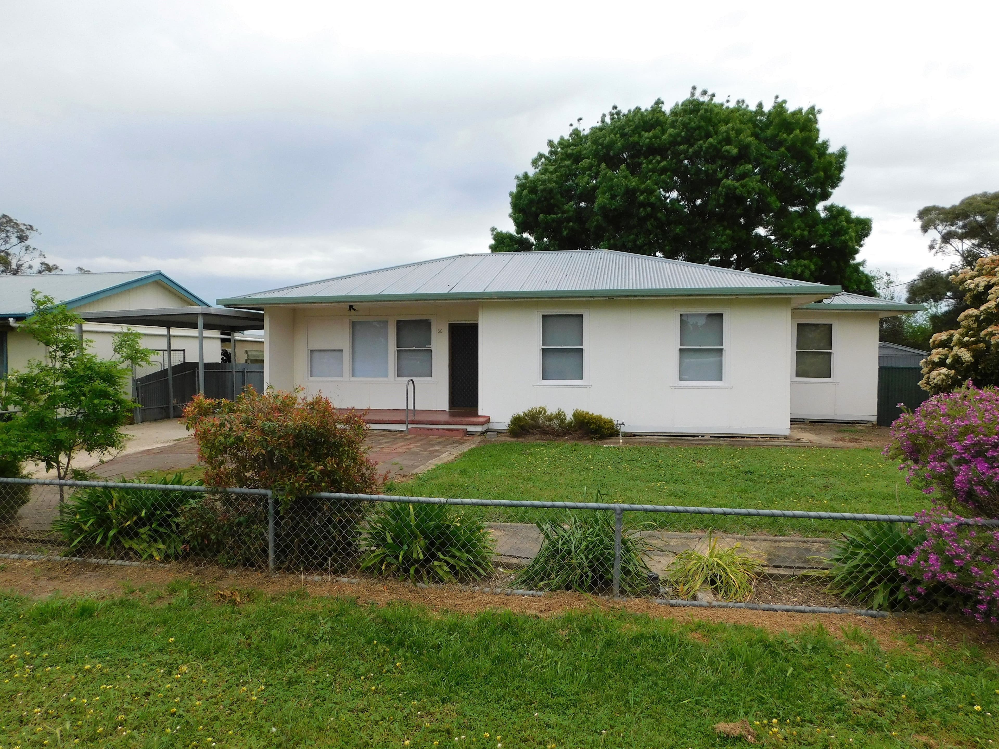 55 Densley Avenue, Bordertown SA 5268, Bordertown - Image 1