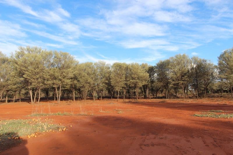 Lot 6 Red Lane, Charleville QLD 4470, Charleville - Image 1