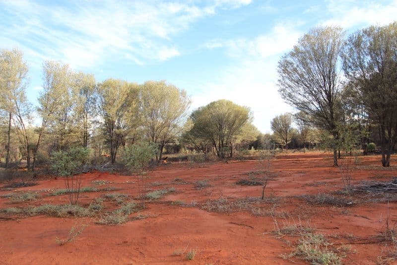 Lot 6 Red Lane, Charleville QLD 4470, Charleville - Thumbnail 6