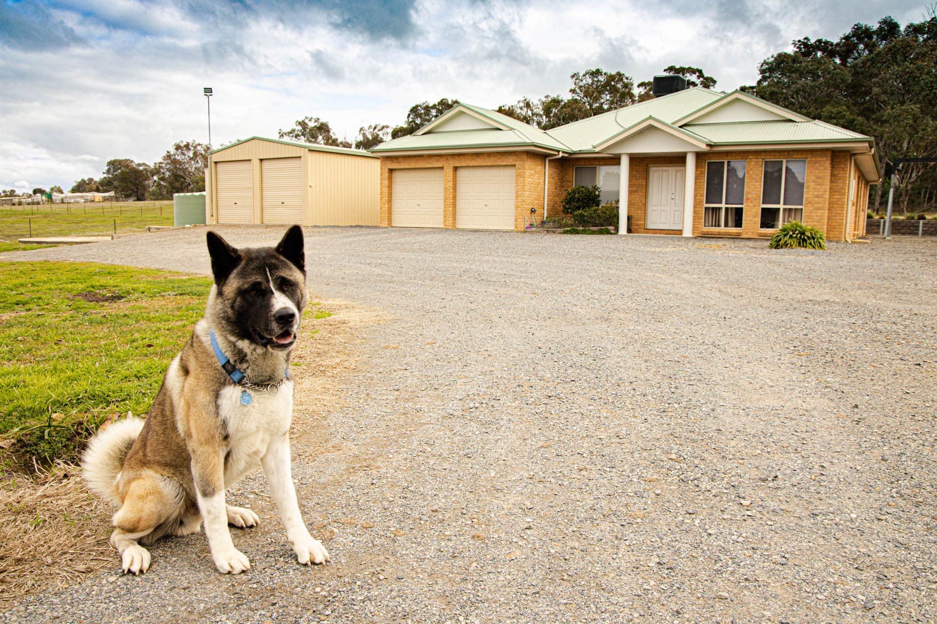 8 Wattle Glen, Murrumbateman - Image 1