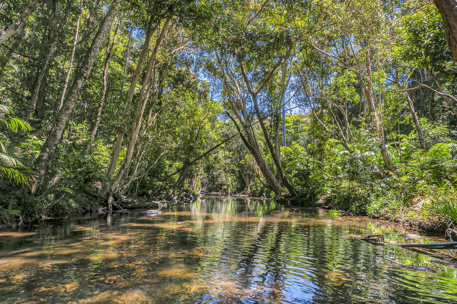 226 Ganyan Drive, Speewah QLD 4881, Speewah - Image 1