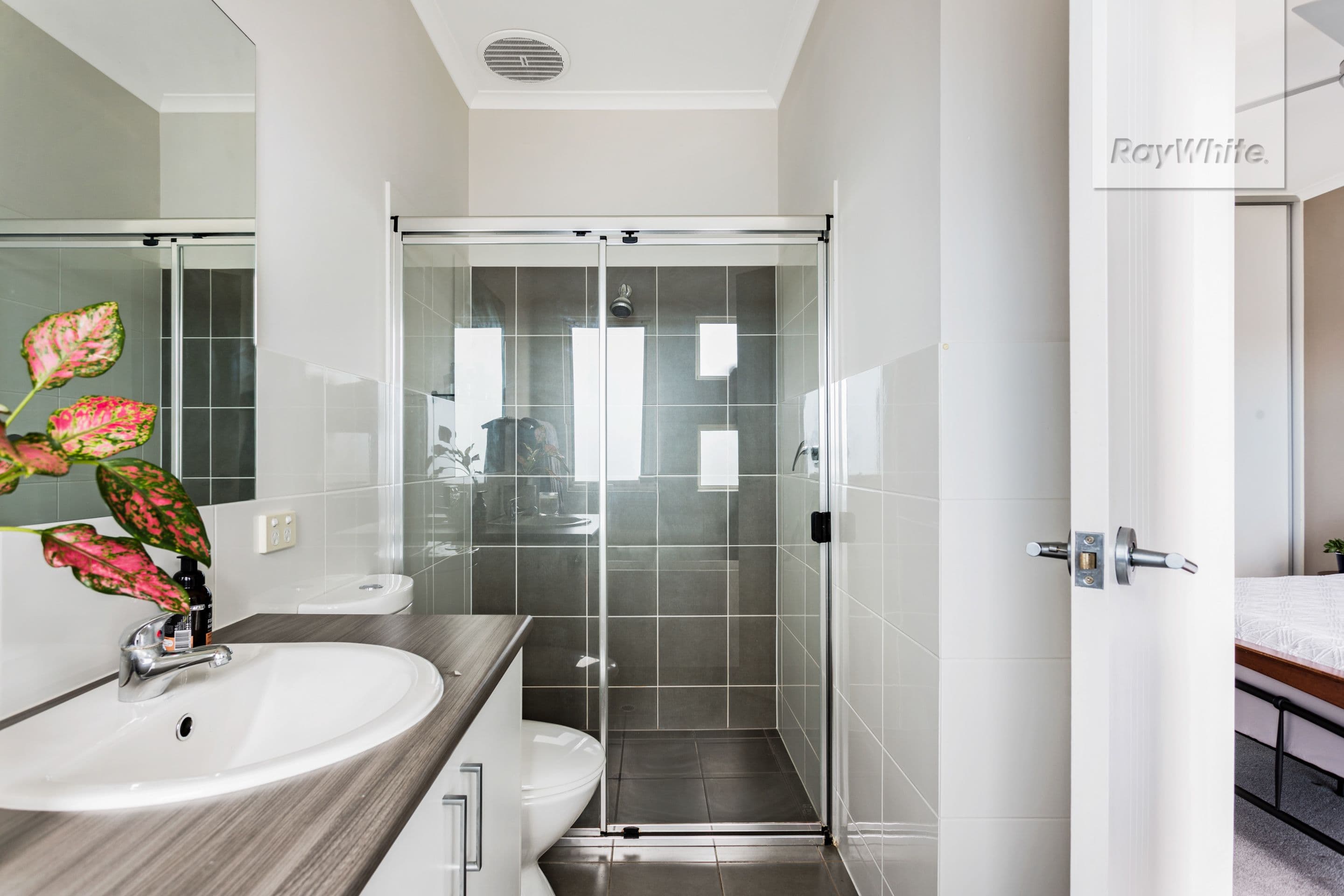 8 Chianti Lane, Mawson Lakes SA 5095, Mawson Lakes - Thumbnail 6