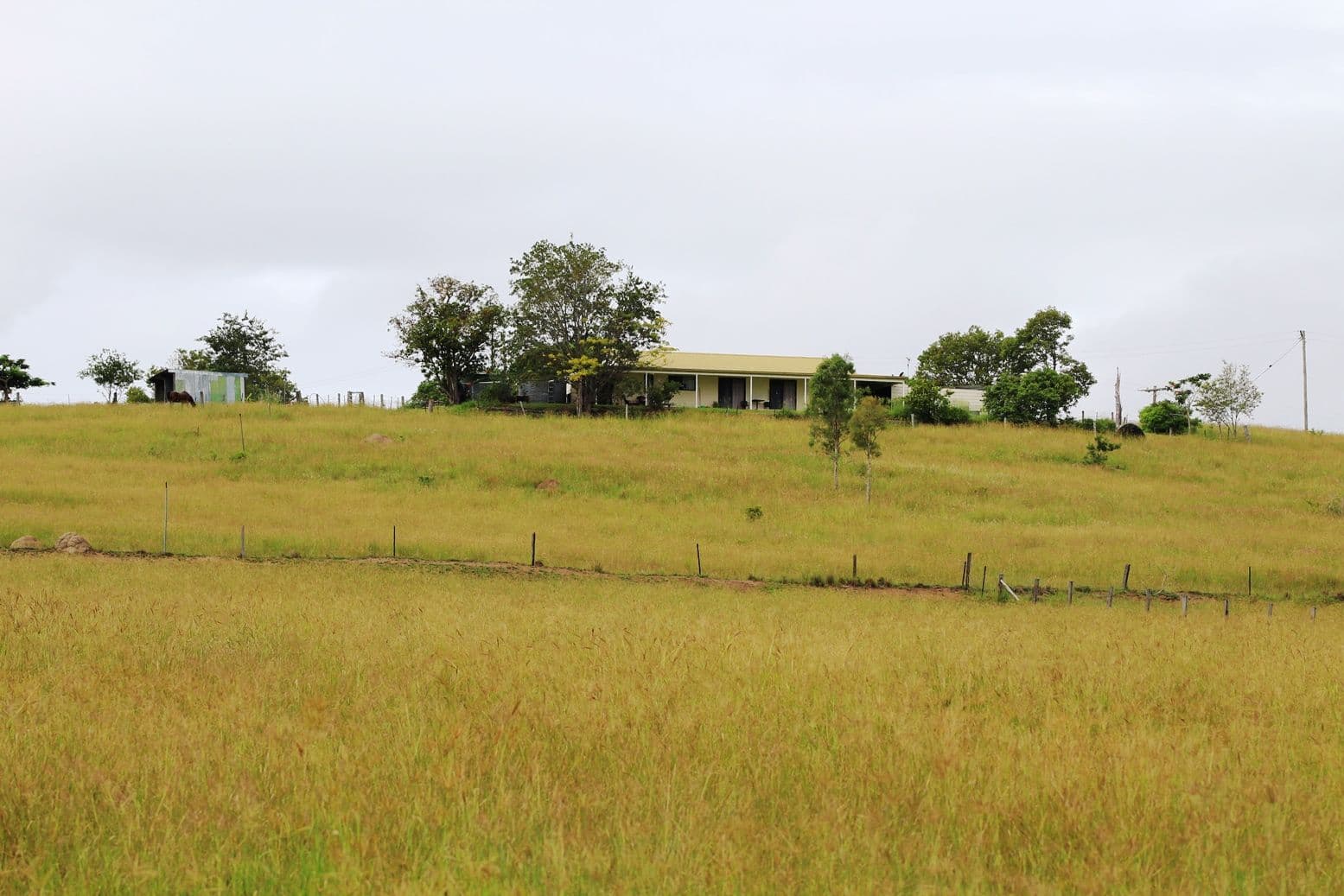 1169 Cooeeimbardi Road, Fulham QLD 4313, Fulham - Thumbnail 4