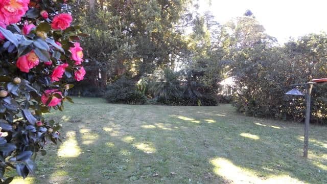 6 Curtis Street, REDWOOD QLD 4350, Redwood - Thumbnail 2