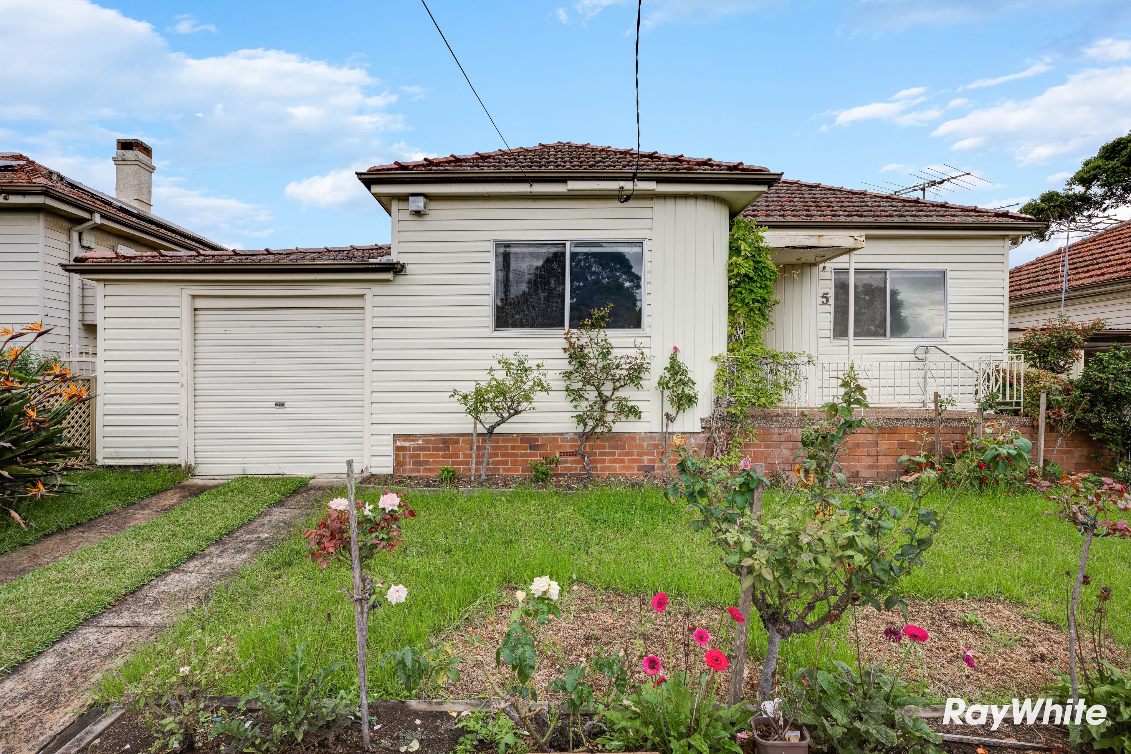 5 Lonard Avenue, Wiley Park NSW 2195, Wiley Park - Image 1