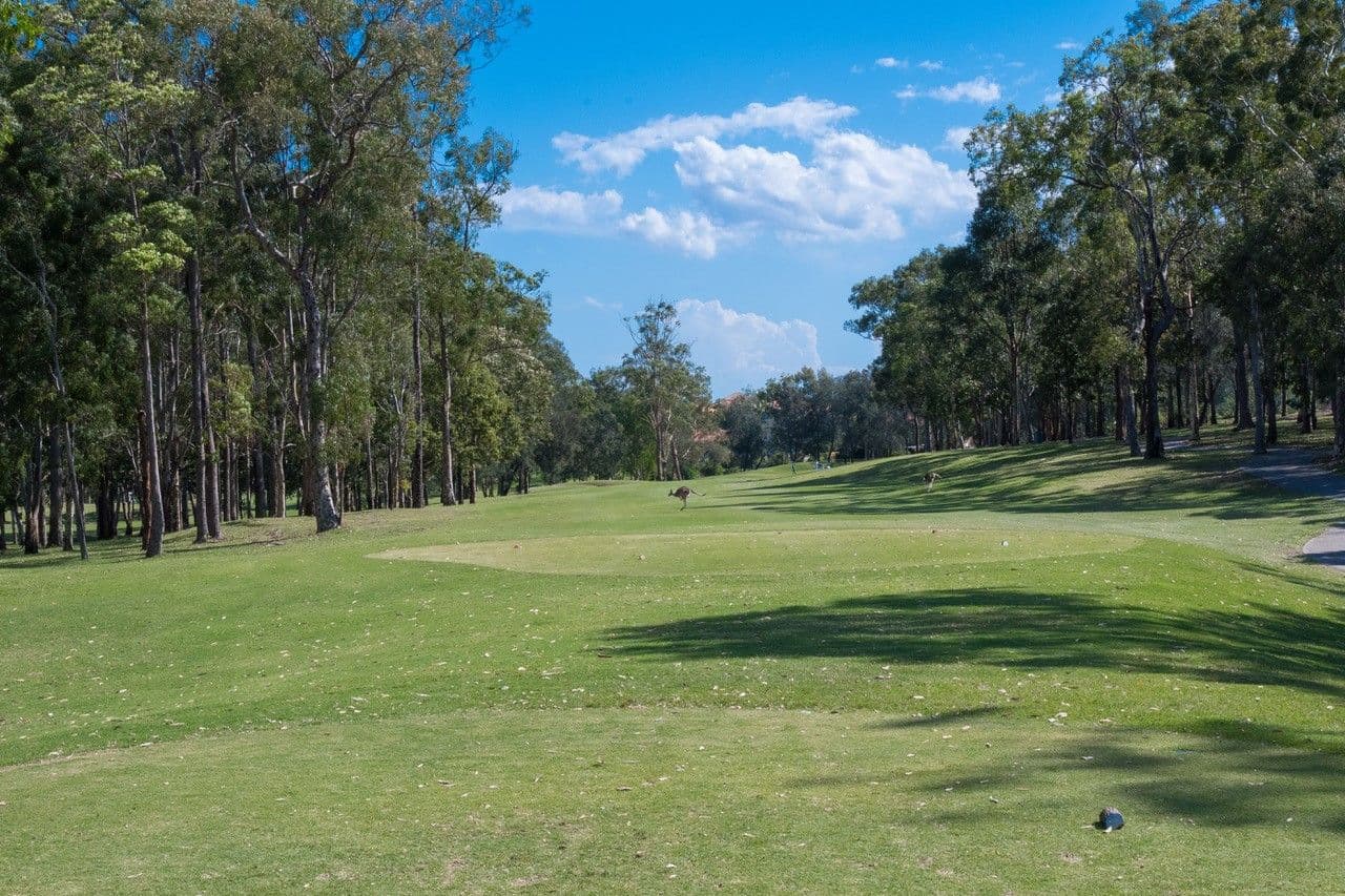 76-80 Chichester Drive, Arundel QLD 4214, Arundel - Thumbnail 2