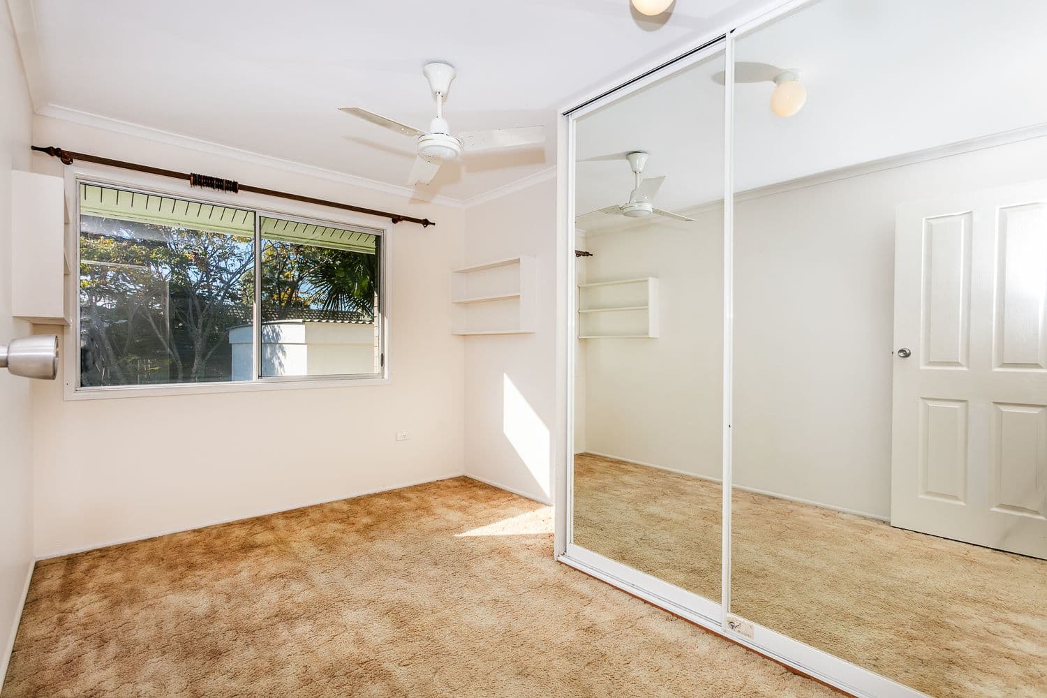 22 Dampier Avenue, Eagleby QLD 4207, Eagleby - Thumbnail 6
