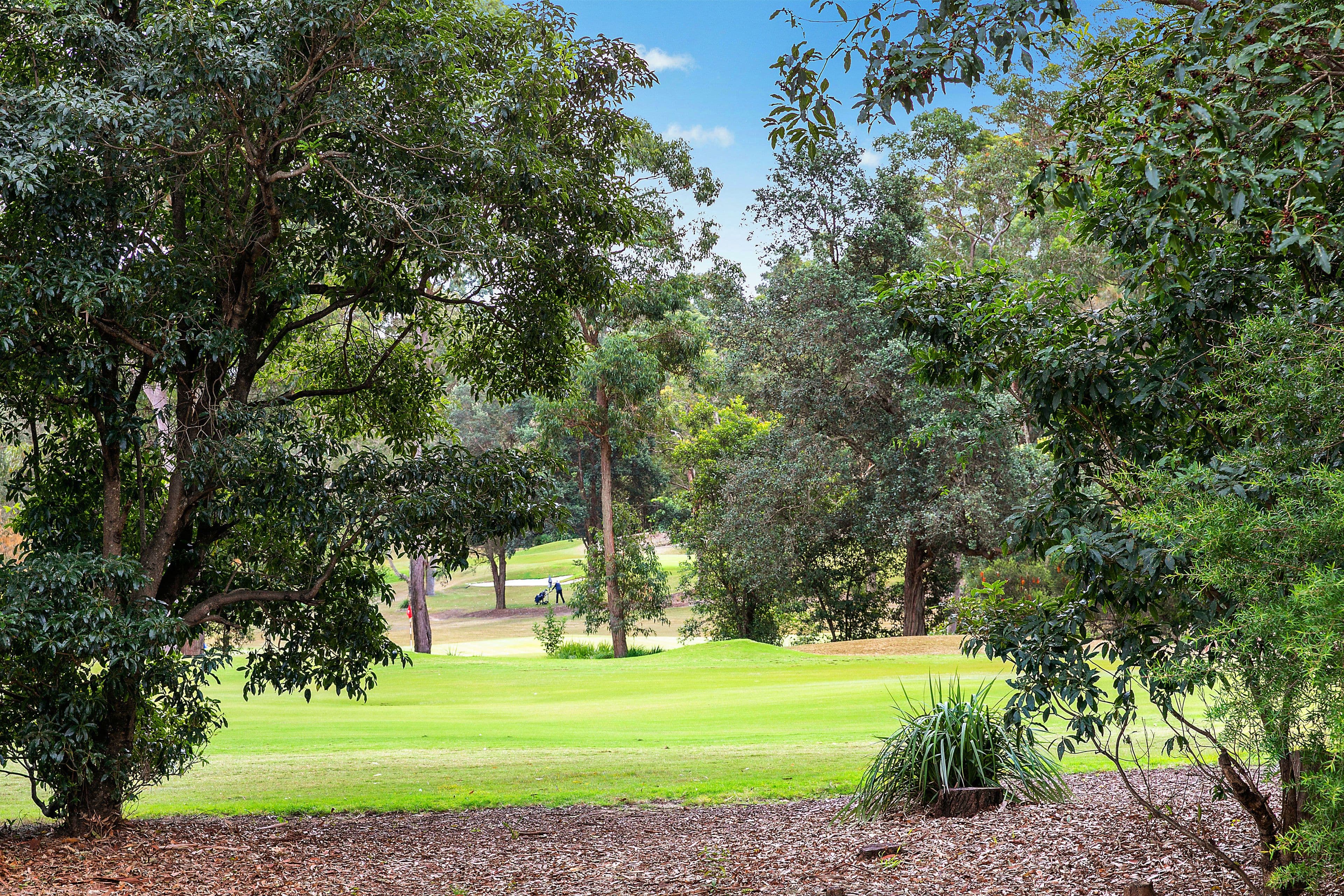 14 Greenway Drive, Pymble NSW 2073, Pymble - Thumbnail 3