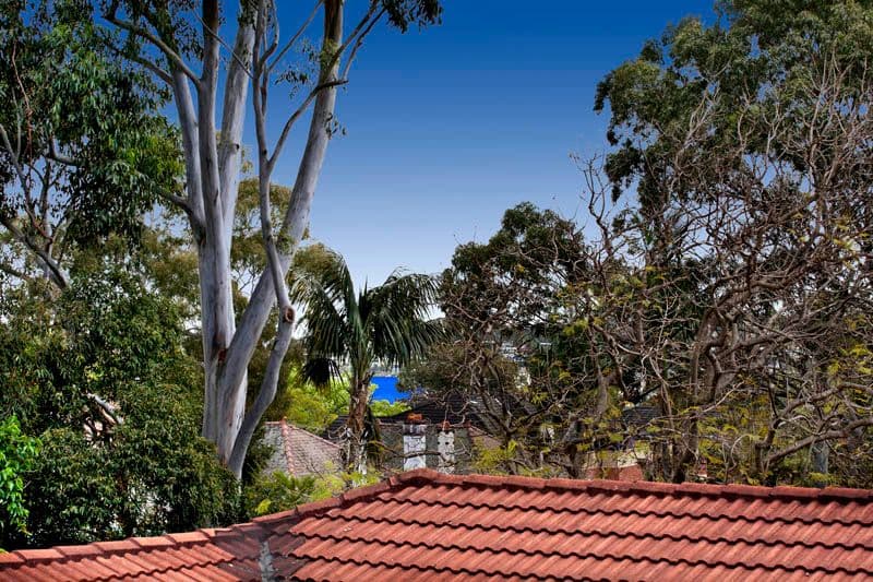 253 Victoria Road, DRUMMOYNE NSW 2047, Drummoyne - Thumbnail 5