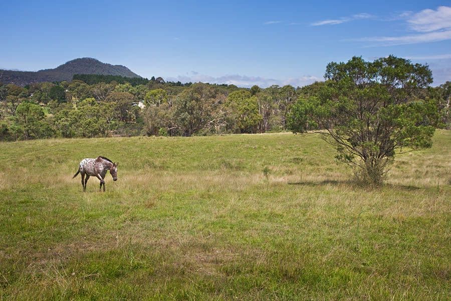53 Bonnie Blink Drive, Little Hartley NSW 2790, Little Hartley - Thumbnail 5