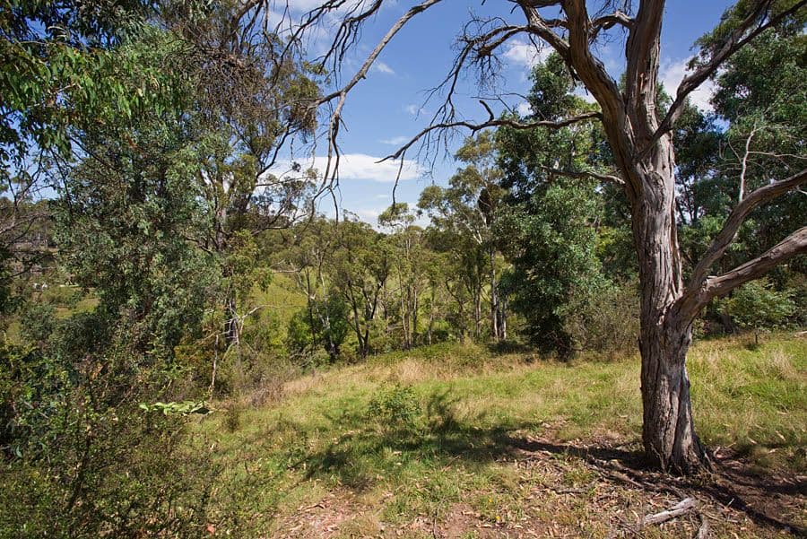 53 Bonnie Blink Drive, Little Hartley NSW 2790, Little Hartley - Thumbnail 8