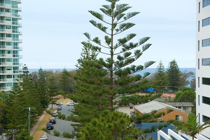 703 'Broadbeach Travel Inn' 40 Surf Parade, BROADBEACH QLD 4218, Broadbeach - Image 1