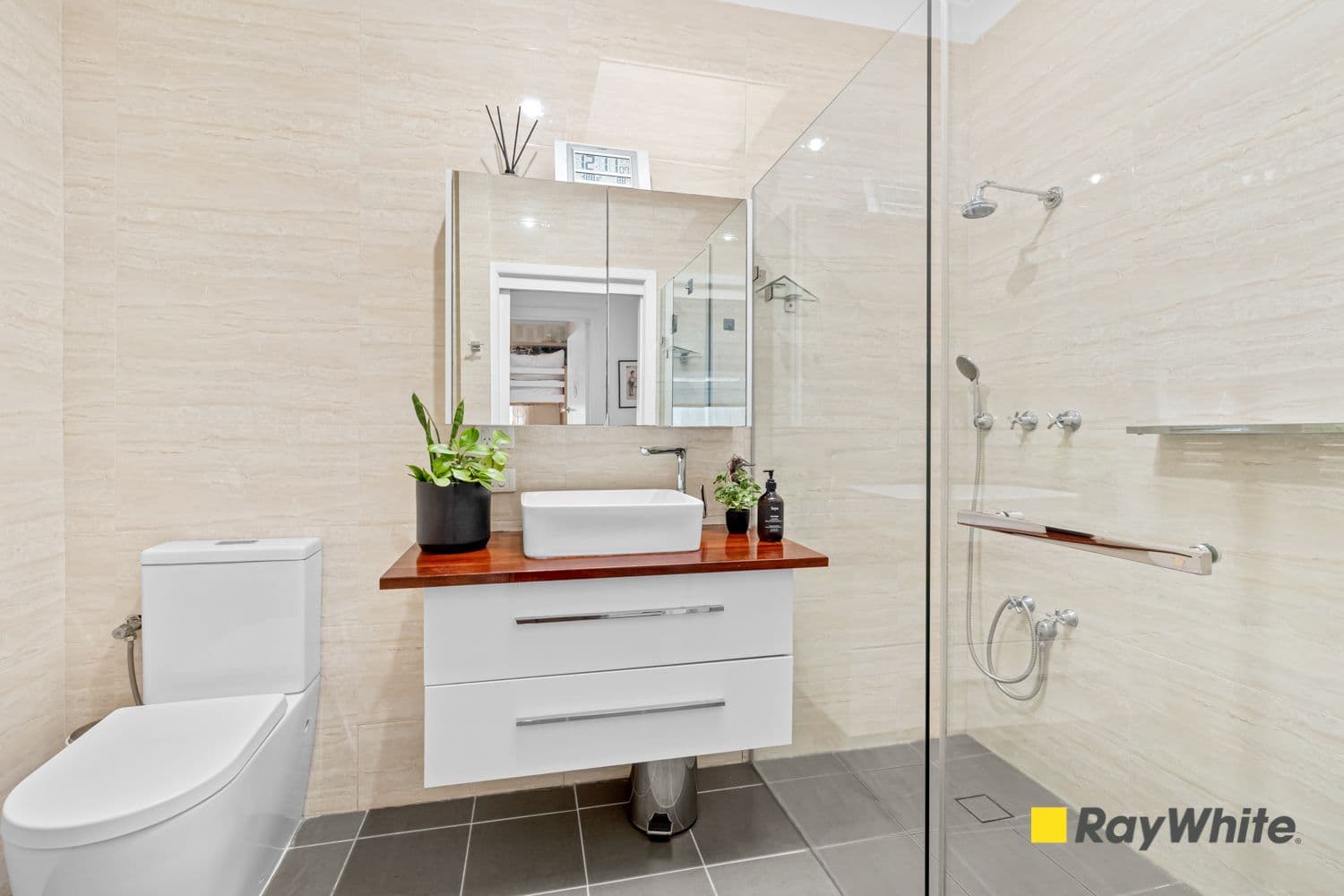 316 Morrison Road, Putney NSW 2112, Putney - Thumbnail 7