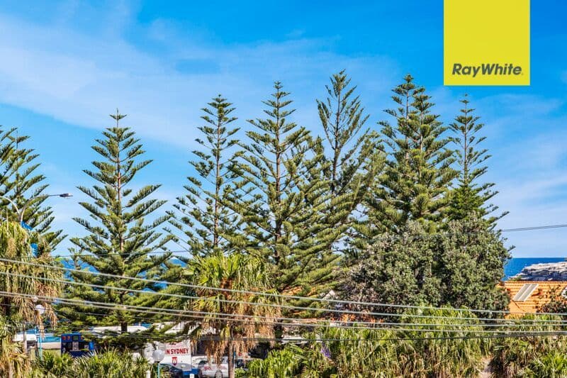 91-97 Dolphin Street, Coogee NSW 2034, Coogee - Thumbnail 8