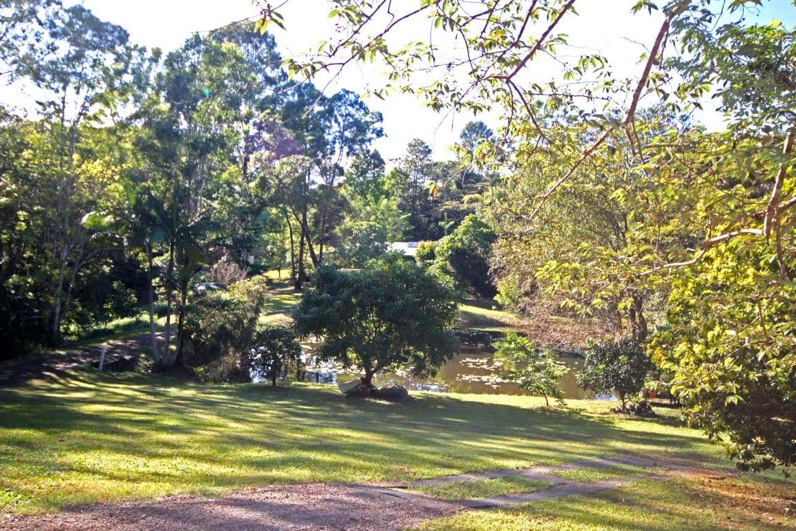 95 Martins Road, Eumundi QLD 4562, Eumundi - Image 1