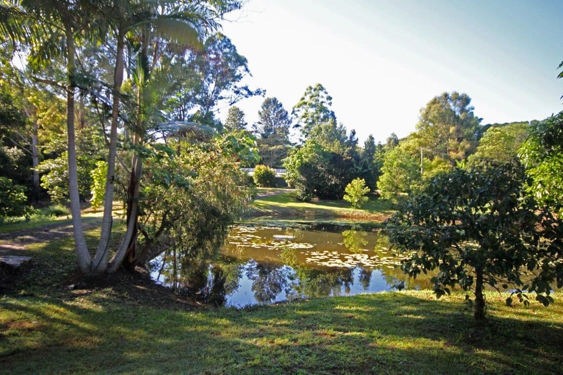 95 Martins Road, Eumundi QLD 4562, Eumundi - Thumbnail 2