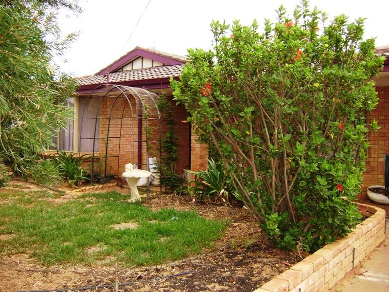 13 Boaz Street, KARLOO WA 6530, Karloo - Thumbnail 4