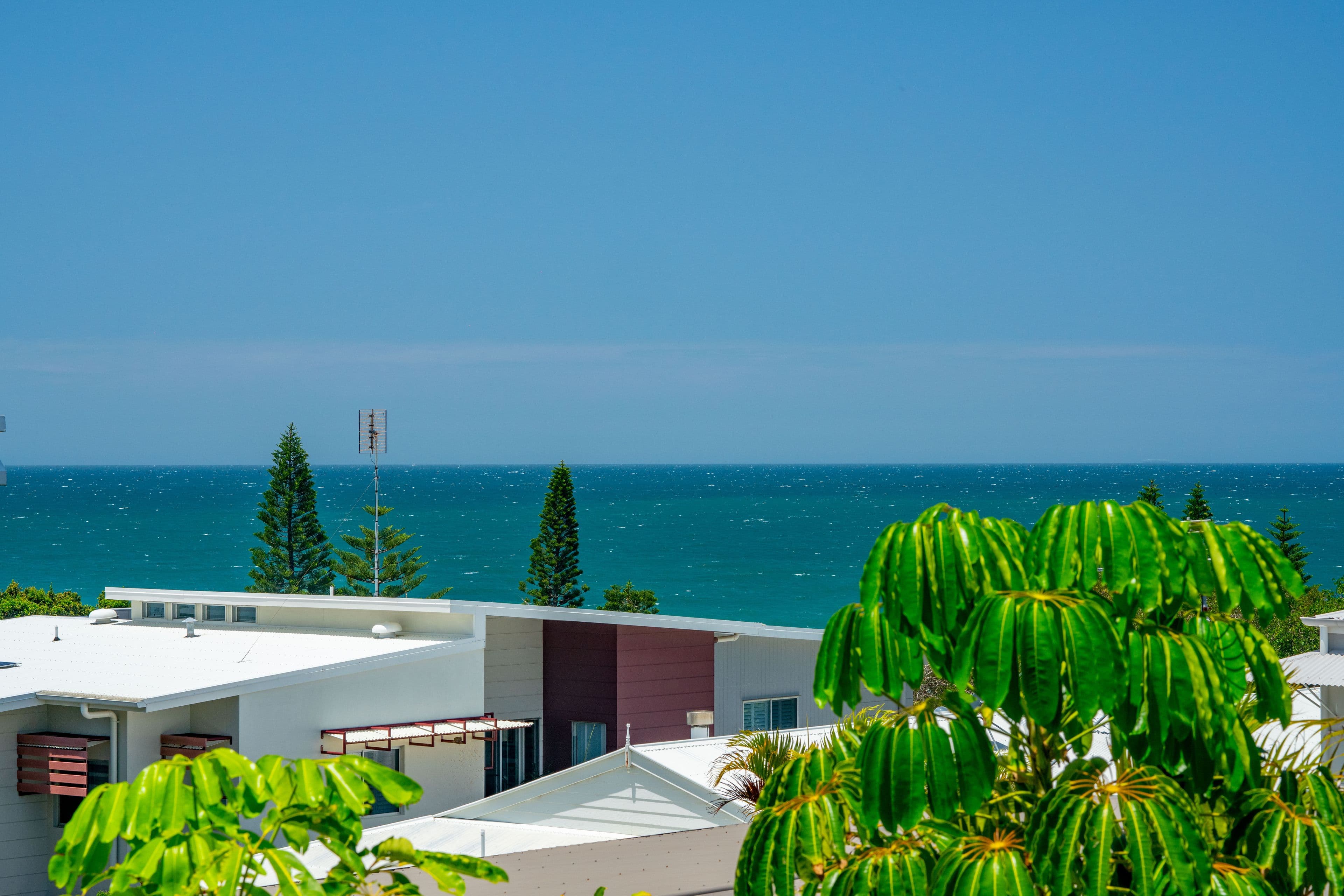5 King Street, Shelly Beach QLD 4551, Shelly Beach - Thumbnail 5