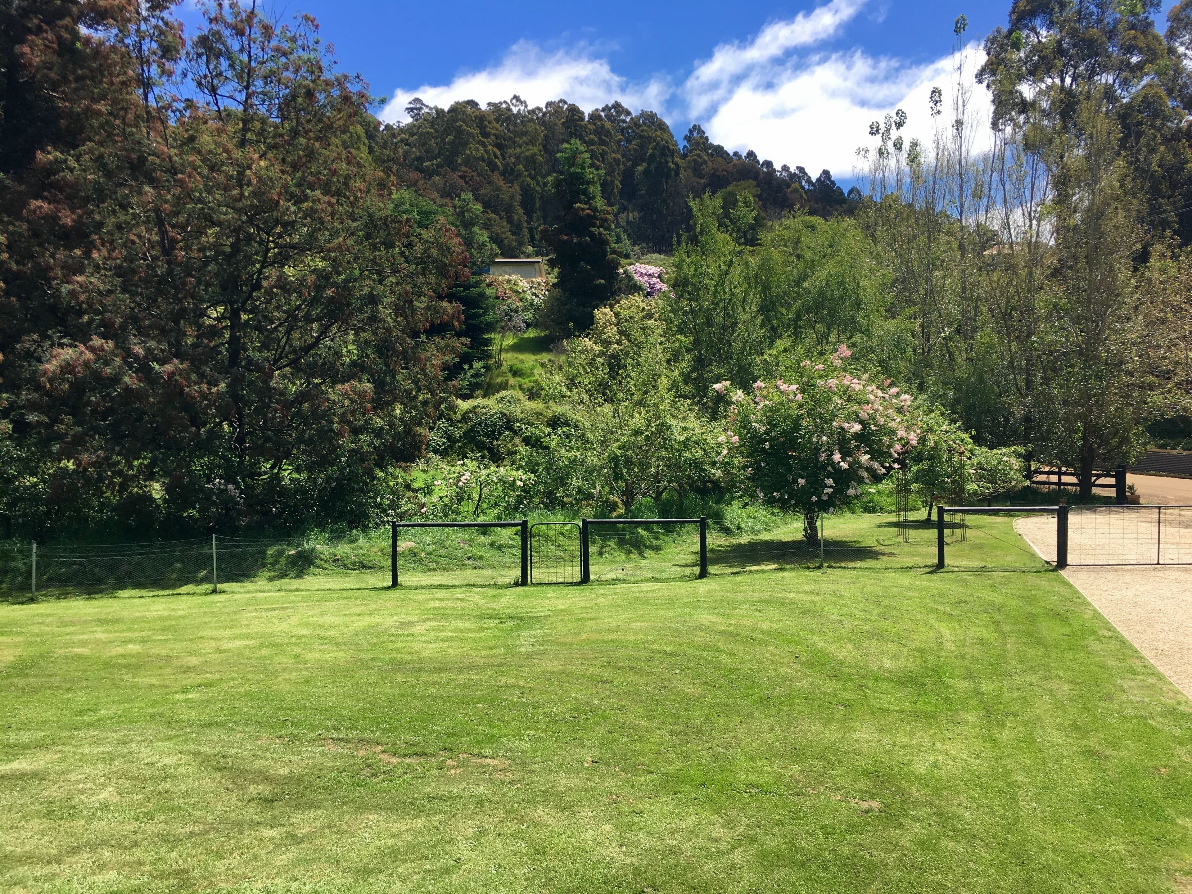 9 Palmers Road, Oyster Cove TAS 7150, Oyster Cove - Thumbnail 3
