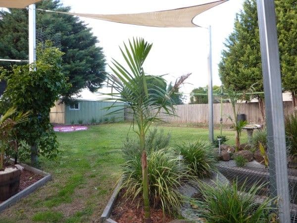 37 Thornbill Drive, CARRUM DOWNS VIC 3201, Carrum Downs - Thumbnail 3