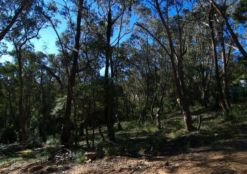 Lot 1 The Links Road, LEURA NSW 2780, Leura - Thumbnail 2