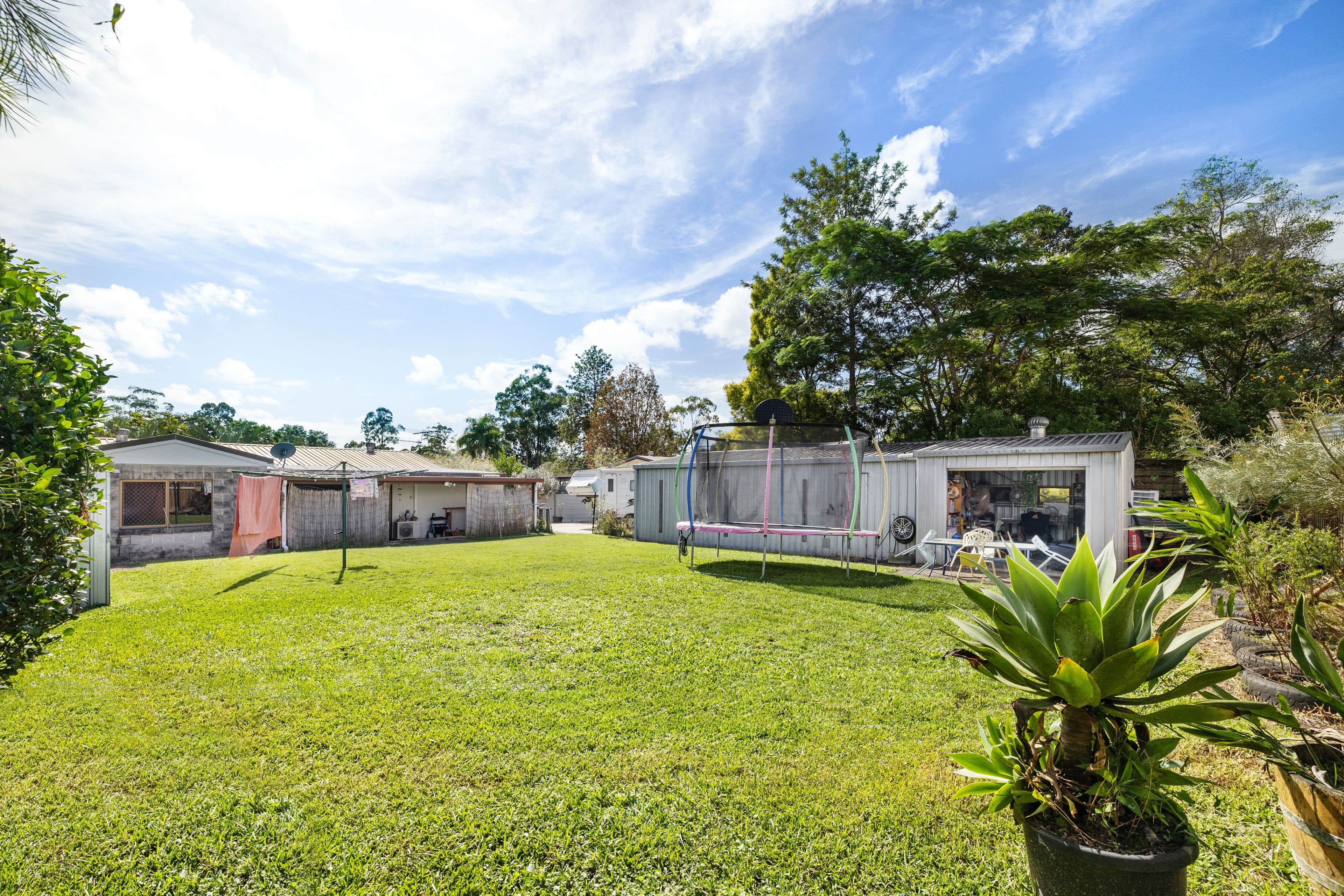 24 Montrose Street, Beerwah QLD 4519, Beerwah - Thumbnail 4