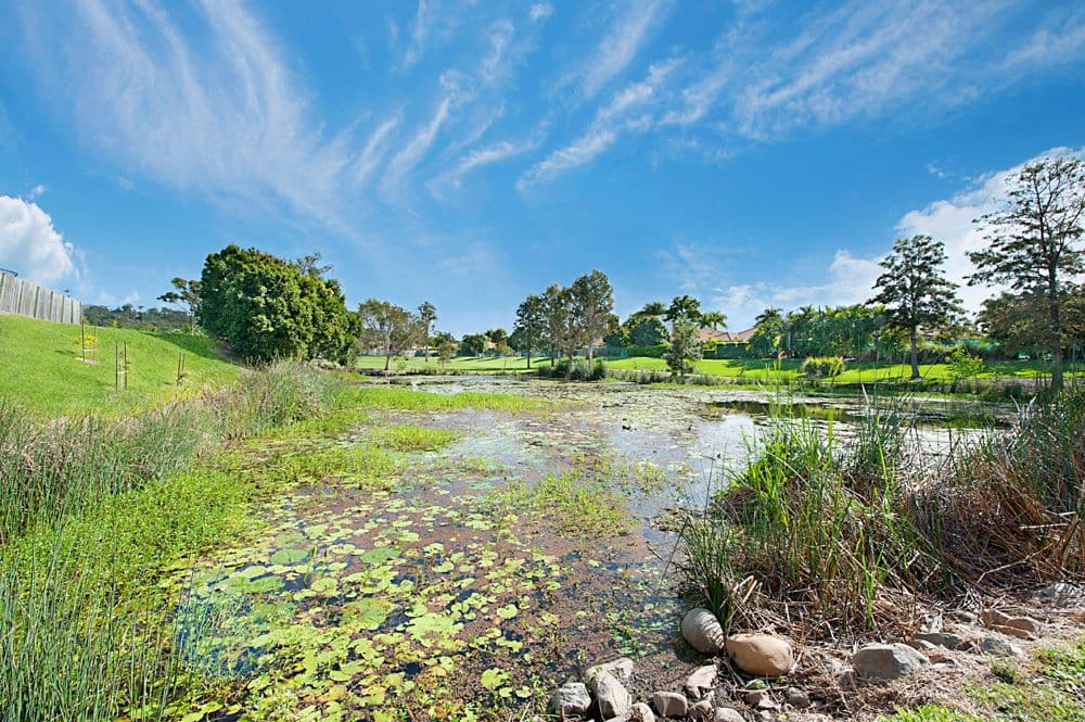 53 Vivacity Drive, Upper Coomera QLD 4209, Upper Coomera - Thumbnail 7
