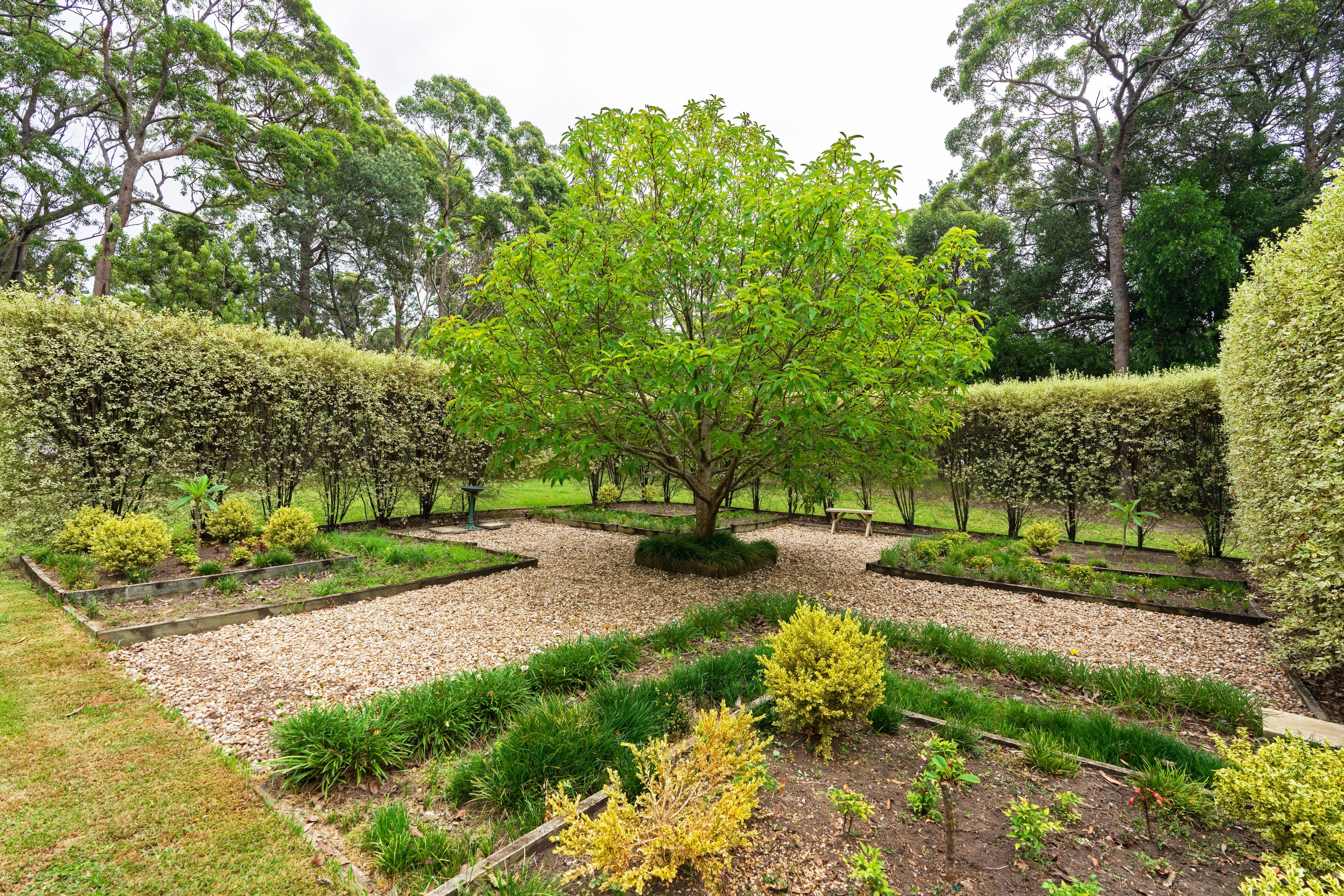 111 Turpentine Road, Tomerong - Thumbnail 3