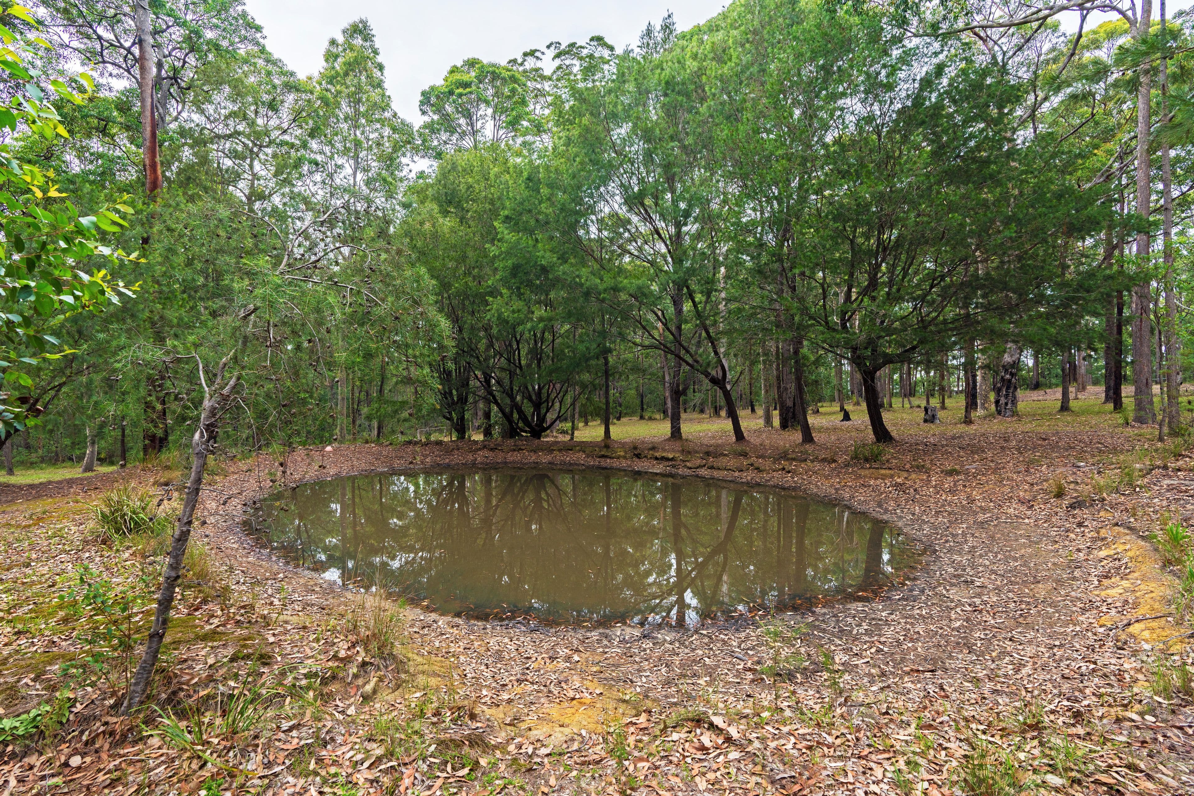 111 Turpentine Road, Tomerong - Thumbnail 5