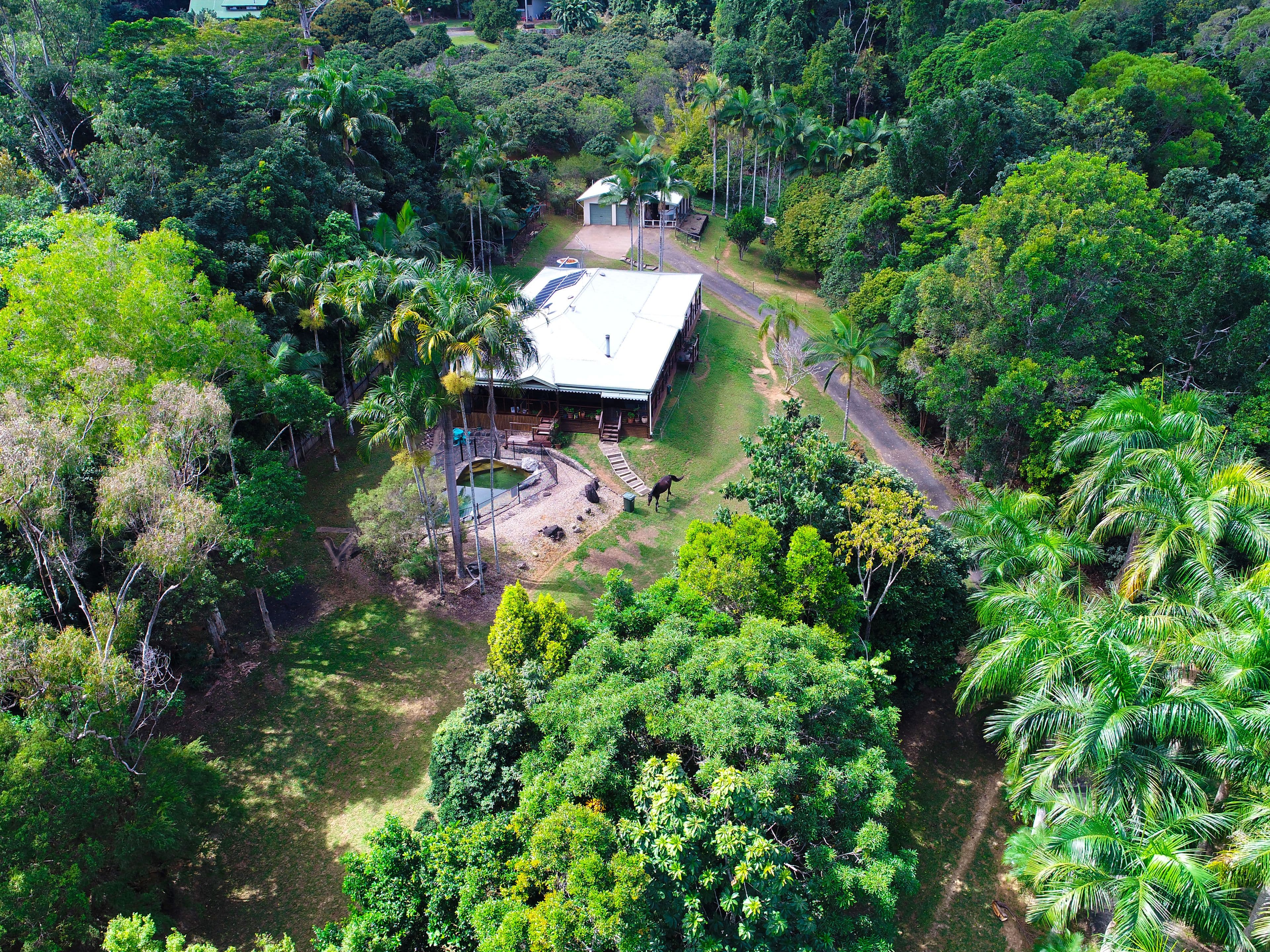 63 Masons Road, Kuranda QLD 4881, Kuranda - Thumbnail 2