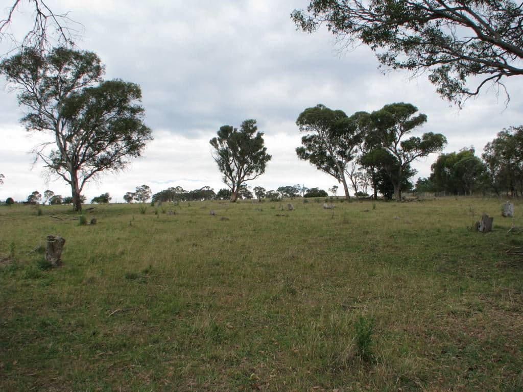 Lot 1 Cluny Road, ARMIDALE NSW 2350, Armidale - Image 1