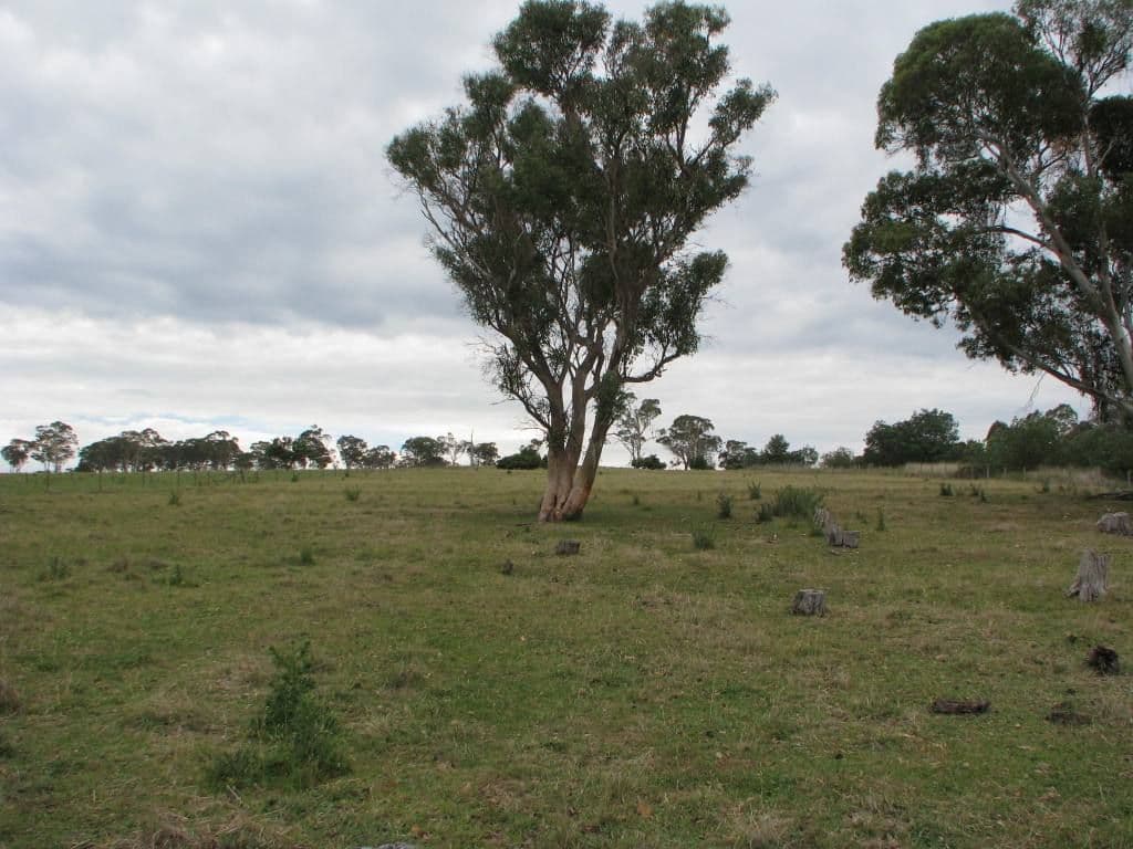 Lot 1 Cluny Road, ARMIDALE NSW 2350, Armidale - Thumbnail 2